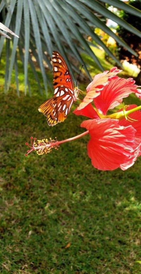 Villas Guanacaste 波特雷罗 外观 照片